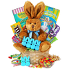 Art of Appreciation Gift Baskets Somebunny Special